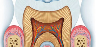 محاضرات التشخيص في علاج الجذور Endodontic Diagnosis